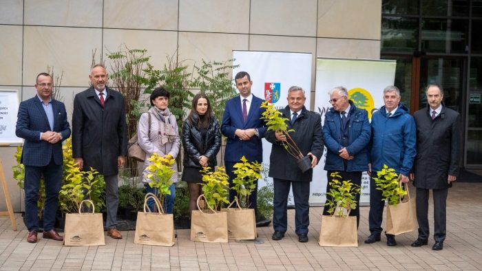 Miniaturka artykułu Sadzenie drzew i krzewów miododajnych sposobem na ochronę bioróżnorodności w województwie podkarpackim.