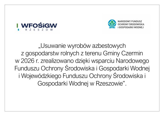 Miniaturka artykułu Usuwanie wyrobów zawierających azbest